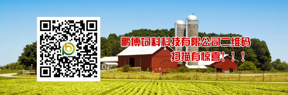 鵬博二維碼，掃描有驚喜！